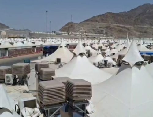Jemaah Tersasar di Mina saat Puncak Haji Diprediksi Tinggi, Petugas Diminta Antisipasi